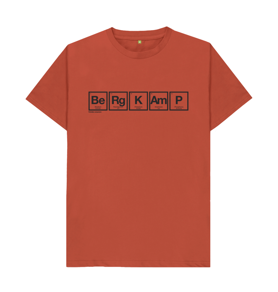 Rust Dennis Bergkamp Periodico Holland T-shirt